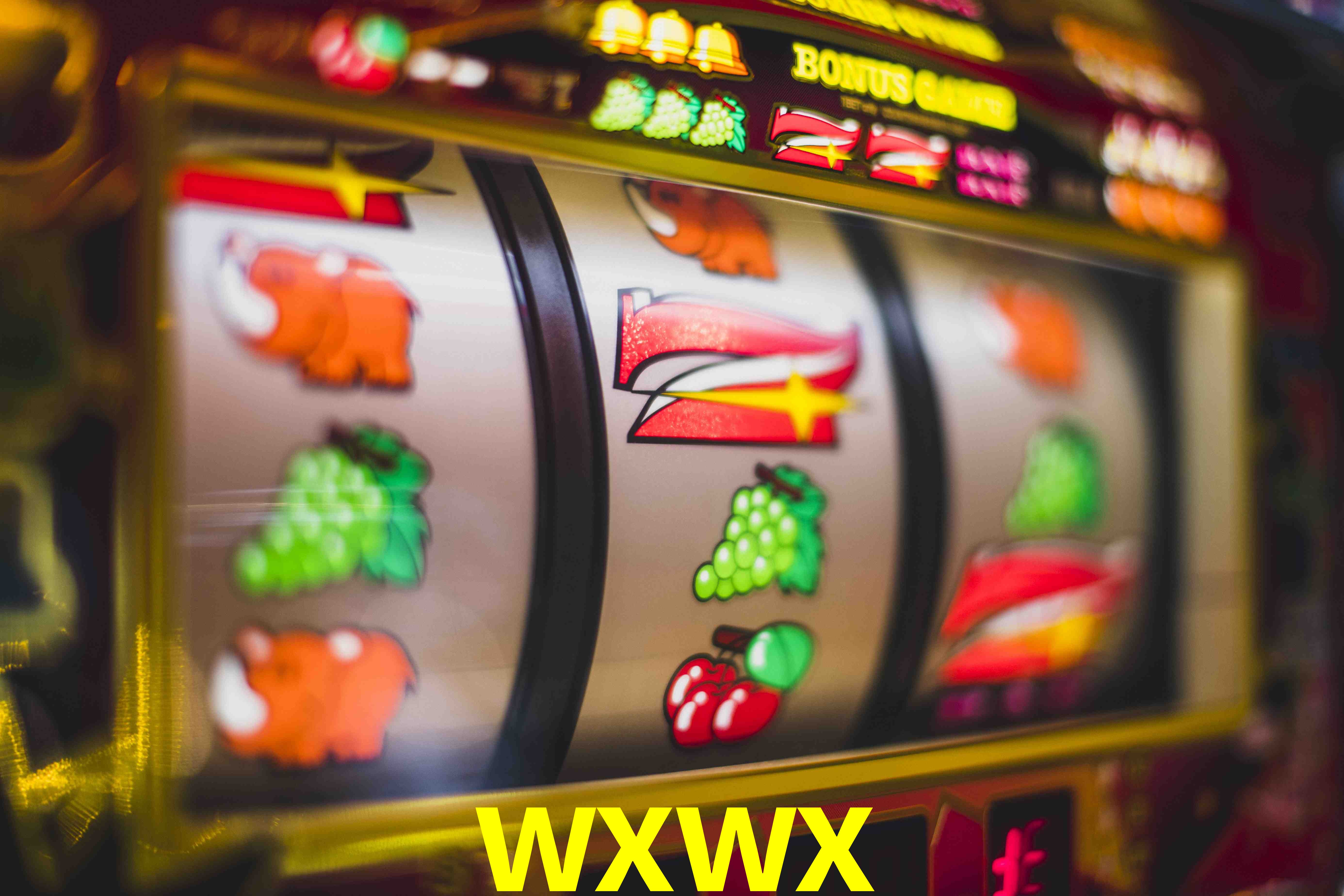 VIP Casino wxwx